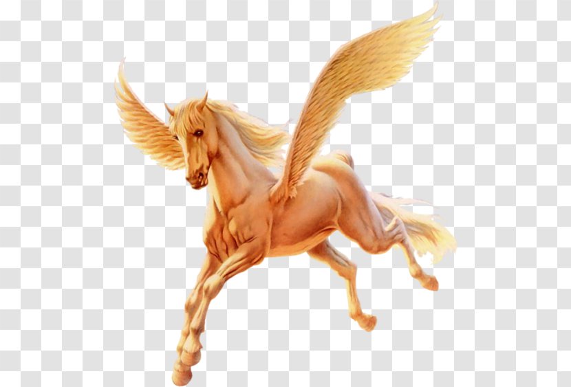 Mustang Pony Flying Horses Winged Unicorn Pegasus - Horse Transparent PNG