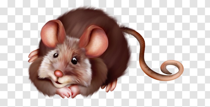 Computer Mouse Rat Clip Art - Whiskers Transparent PNG