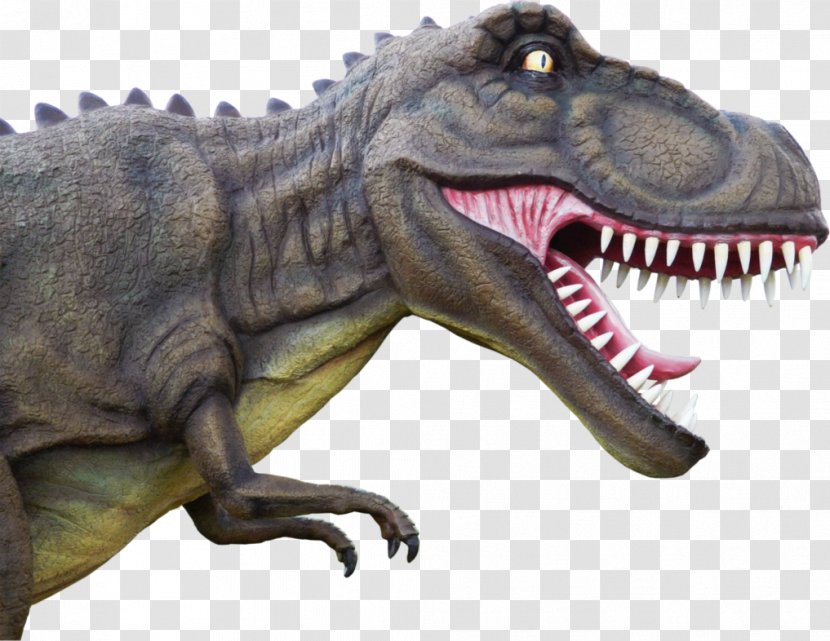 Tyrannosaurus Dinosaur Digger Running - Computer Graphics - Dino Transparent PNG
