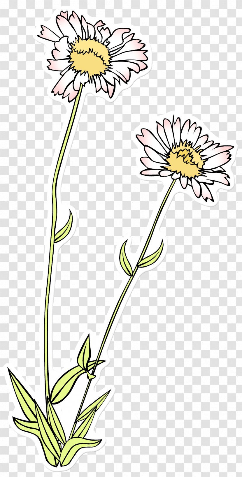 Clip Art Sketch Flower Drawing Image Transparent PNG