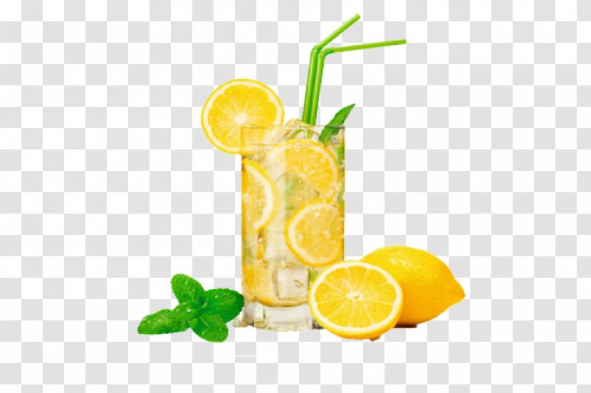 Juice Lemonade Fizzy Drinks Mason Jar - Fruit Transparent PNG