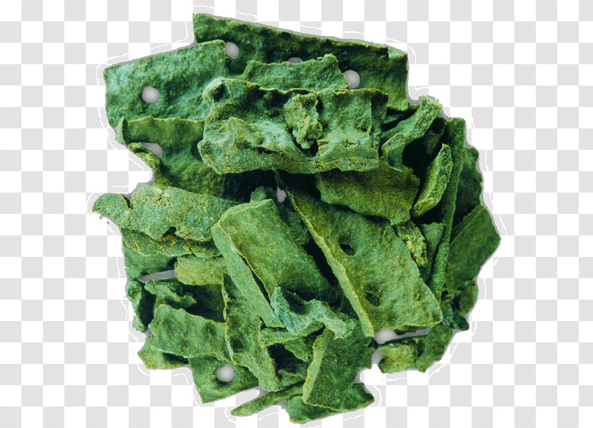 Spring Greens Collard Spinach Kale Rapini - Propolis Transparent PNG