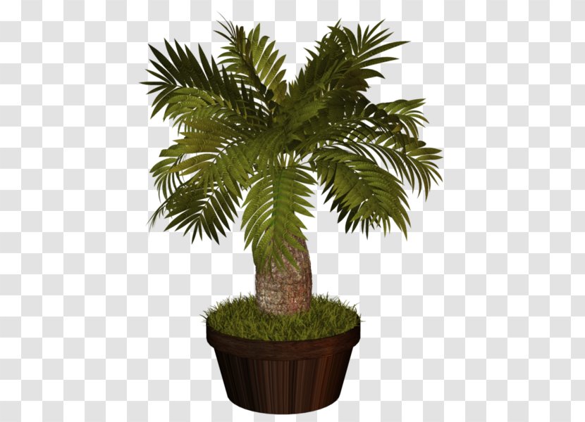 Flowerpot Asian Palmyra Palm Clip Art Plants Houseplant - Indoor Transparent PNG