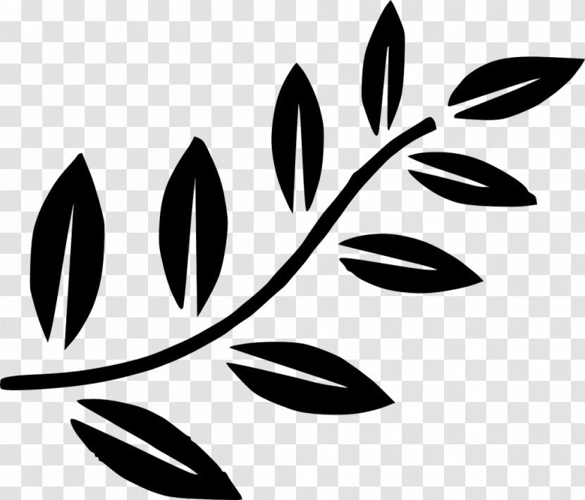 Olive Branch Clip Art - Flora Transparent PNG
