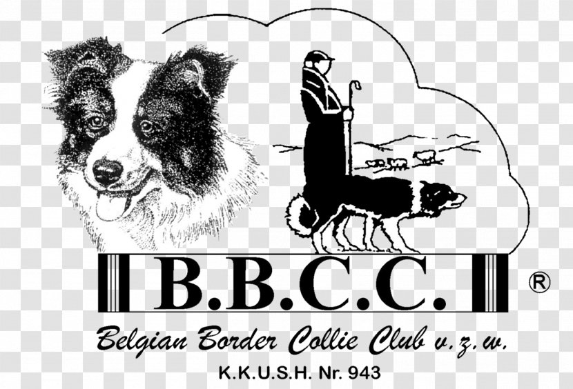 Puppy Dog Breed Belgian Border Collie Club Scotch - Advertising Transparent PNG