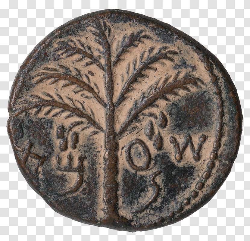 Bar Kokhba Revolt First Jewish–Roman War Jerusalem Aelia Capitolina Paleo-Hebrew Alphabet - Jewish People - Ysr Transparent PNG