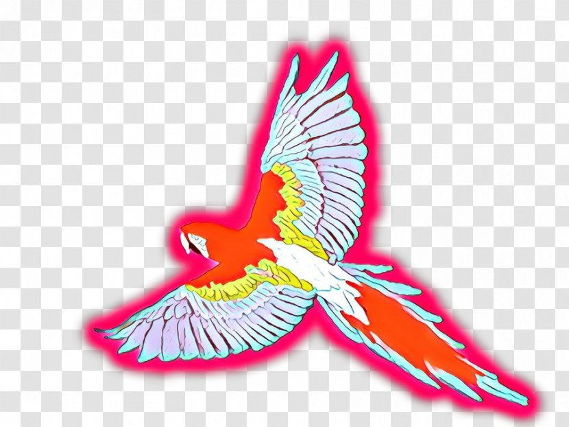 Bird Wing - Hummingbird Transparent PNG