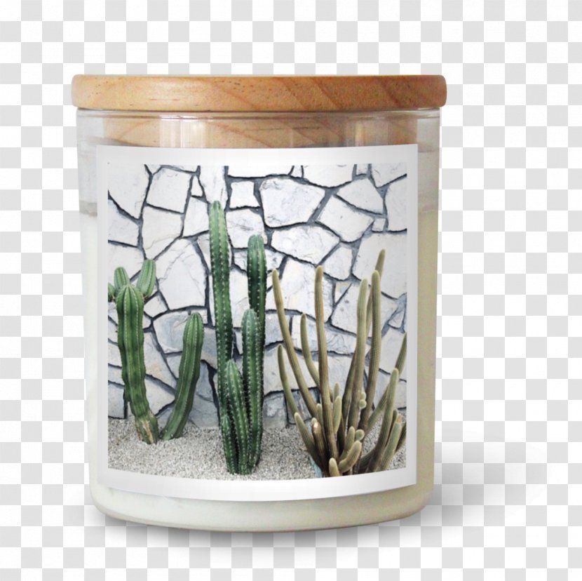 Soy Candle Soybean Glass Mermaid Beach, Queensland - Plant - Fragrance Transparent PNG