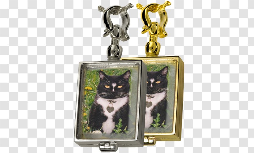 Cat Locket Victorian Era Jewellery Silver - Engraving Transparent PNG