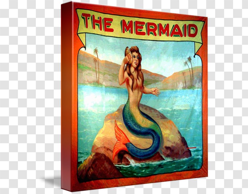Mermaid Painting Art Sideshow Carnival - Organism - Poster Transparent PNG