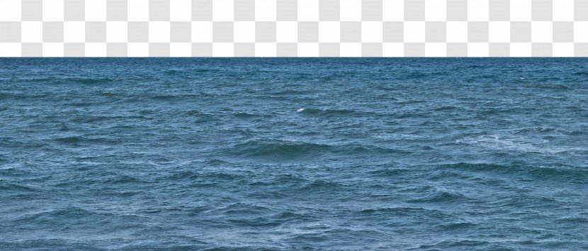 Cetacea Porpoise Sea Inlet Water Resources - Sky Transparent PNG