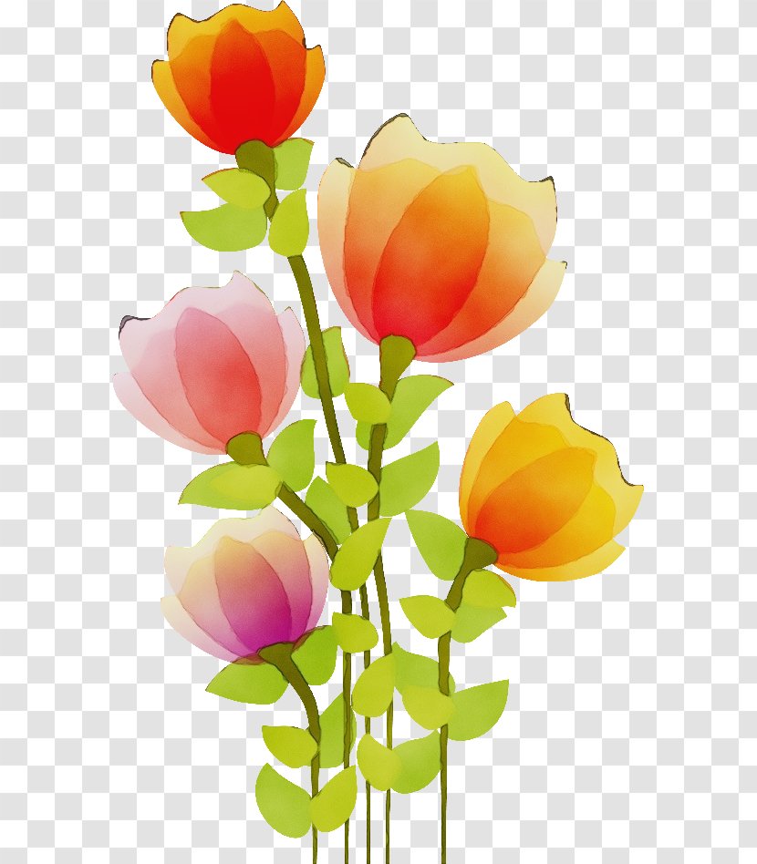 Flowers Background - Film - Wildflower Bud Transparent PNG