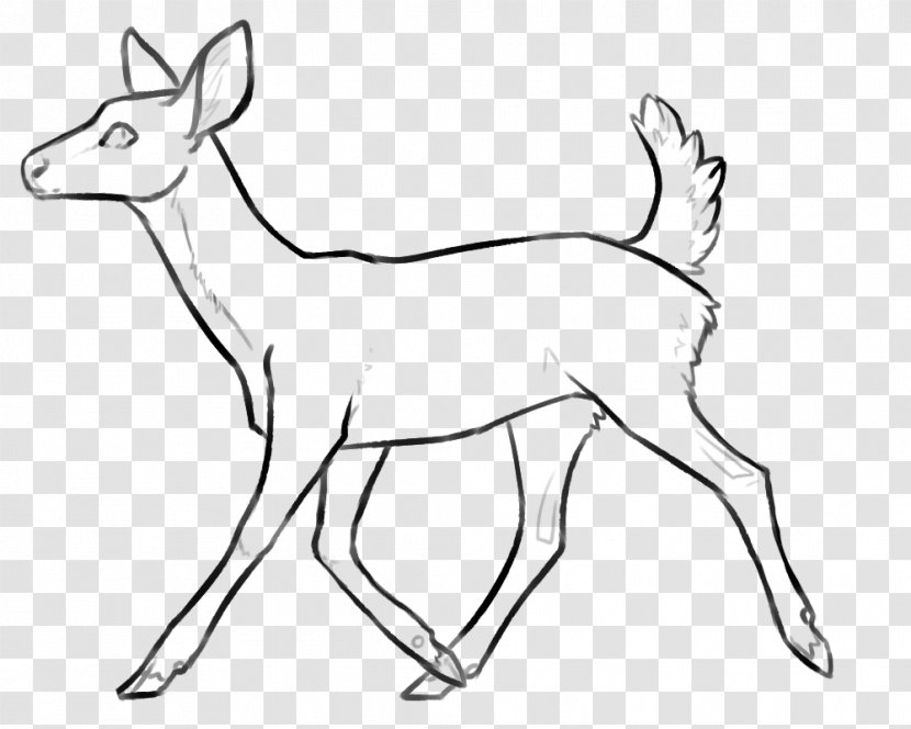 Reindeer White-tailed Deer Antelope Horn - Black And White - Based Line Drawing Transparent PNG
