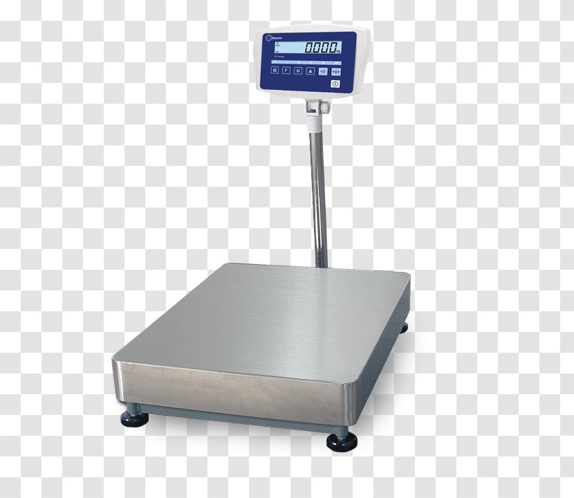 Measuring Scales Bascule Computing Platform Stainless Steel SPMS - Information - Bascula Transparent PNG