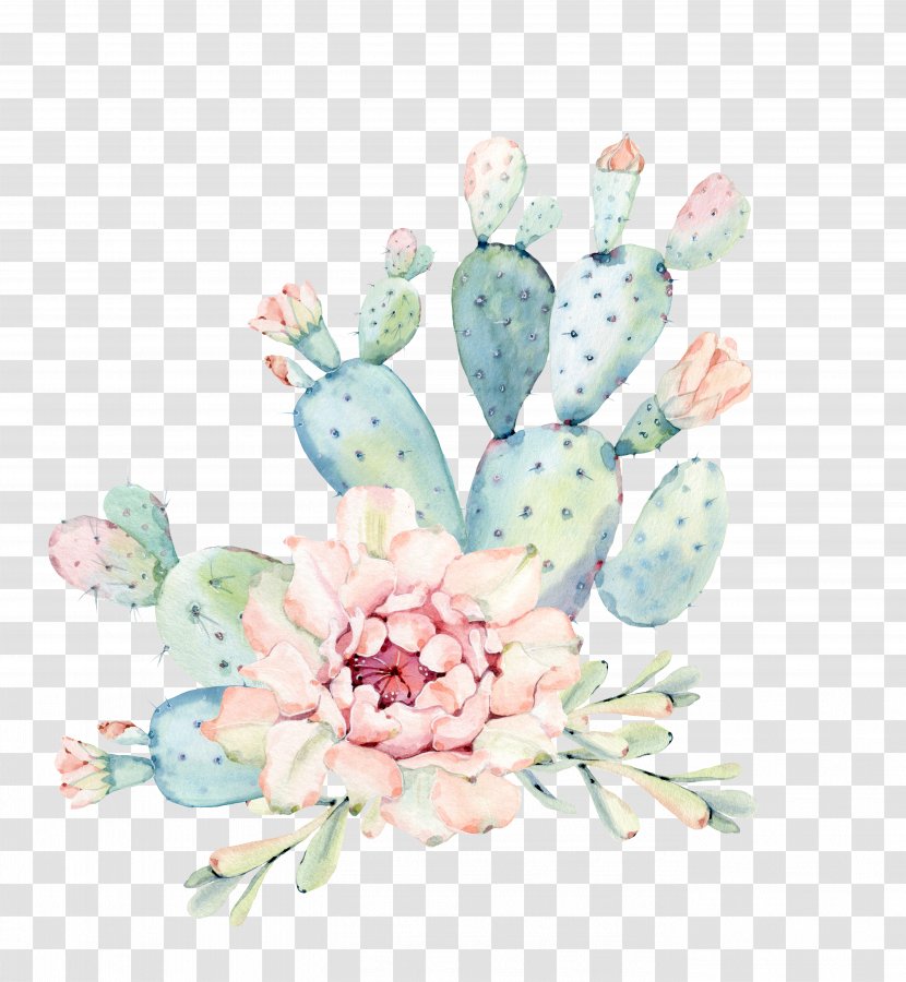 Cactaceae Watercolor Painting Succulent Plant Euclidean Vector - Throw Pillows - Hand Painted Flowers, Green Plants Cactus Transparent PNG