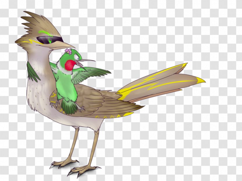 Chicken Bird Beak Illustration Coraciiformes - Fauna Transparent PNG