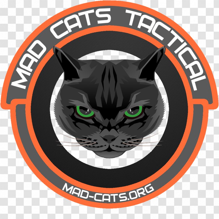 Whiskers Cat Logo Brand Snout Transparent PNG