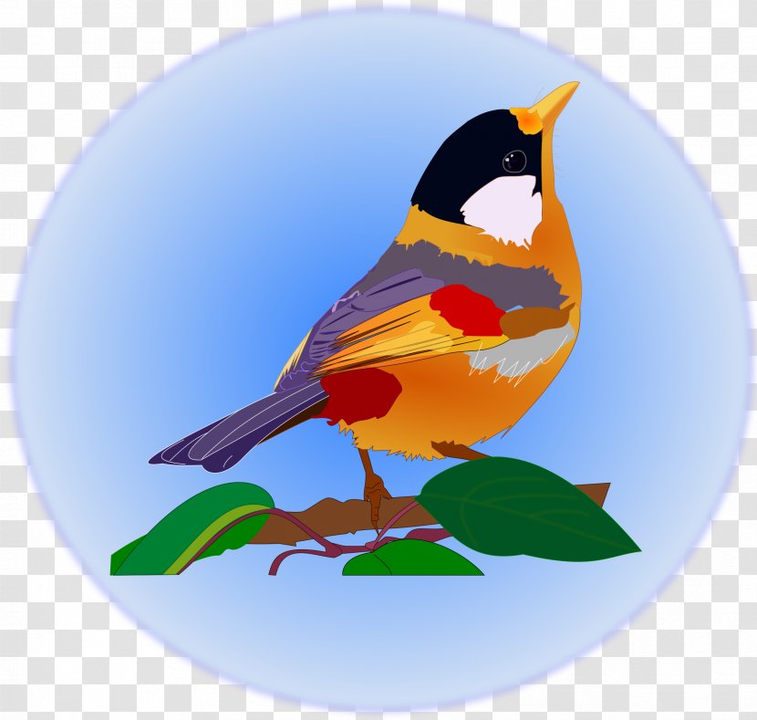 Bird Animal Clip Art - Multicolor Transparent PNG