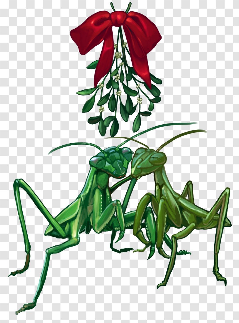 Tyrannosaurus Holiday Dinosaur Christmas Art - Flower - Mistletoe Transparent PNG