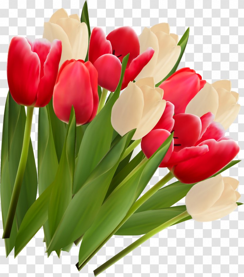 Tulip Flower Clip Art - Floral Design - A.d.i.d.a.s Transparent PNG