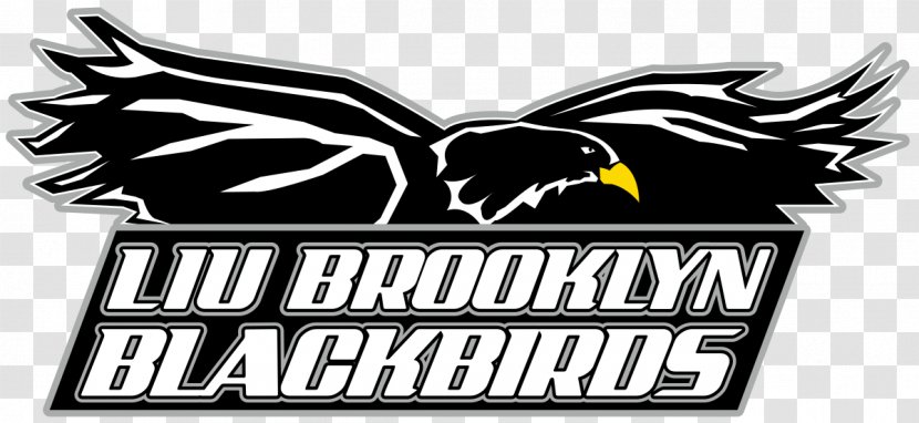 LIU Brooklyn Blackbirds Women's Basketball Long Island University Men's St. Francis College - Higher Education Transparent PNG