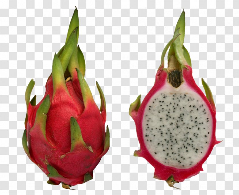 Pitaya Hylocereus Undatus Fruit Horned Melon Carambola - Food - Tropical Transparent PNG