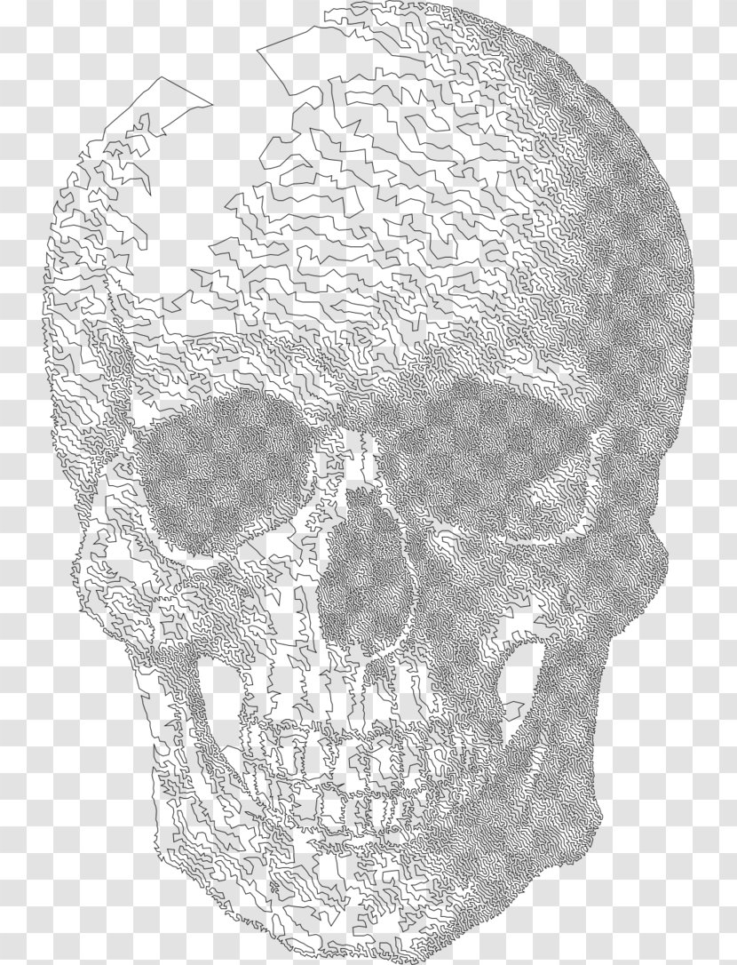 Human Skull Drawing - Facial Hair - Supporto Transparent PNG