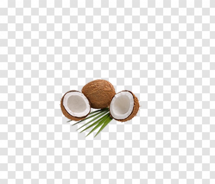 Coconut Milk Powder Water Manufacturing - Coconuts Transparent PNG