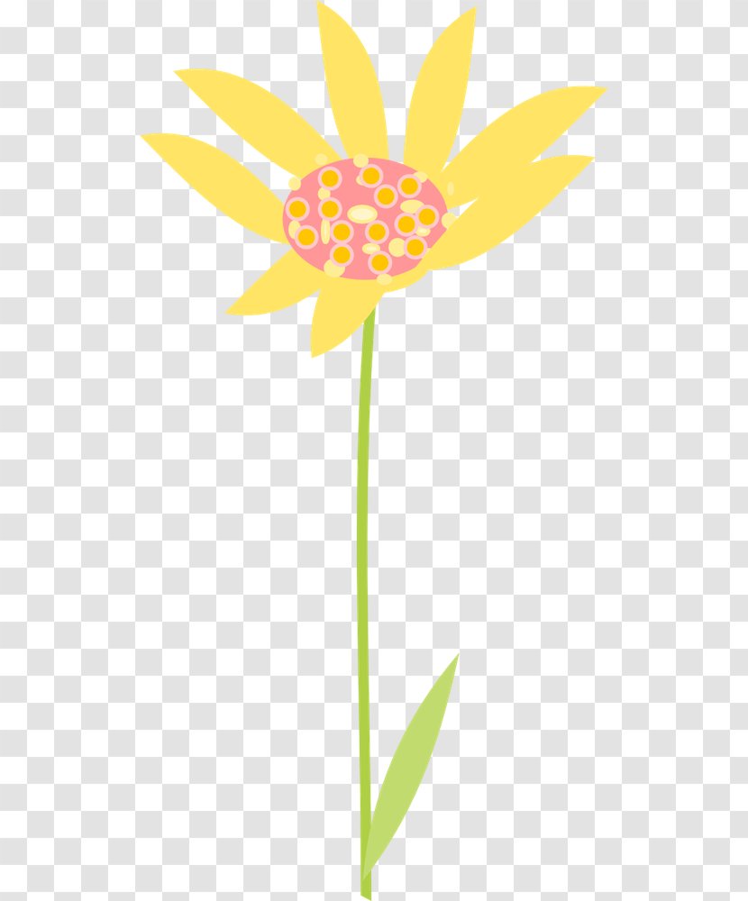 Cut Flowers Plant Stem Leaf Yellow Petal - Daisy - Graphics Of Transparent PNG