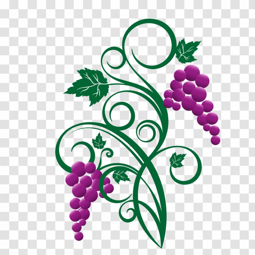 White Wine Grape Leaves Vector Graphics - Cartoon Transparent PNG