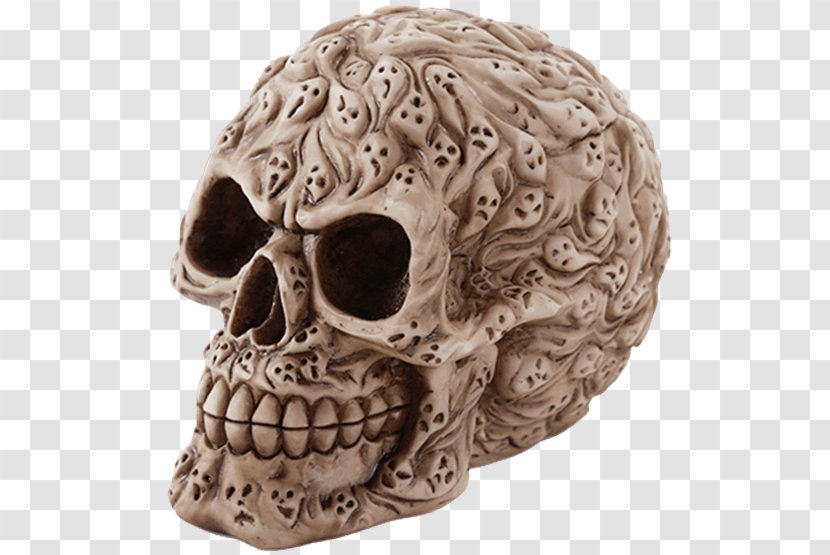 Human Skull Calavera Skeleton Bone - Spirit Halloween Transparent PNG