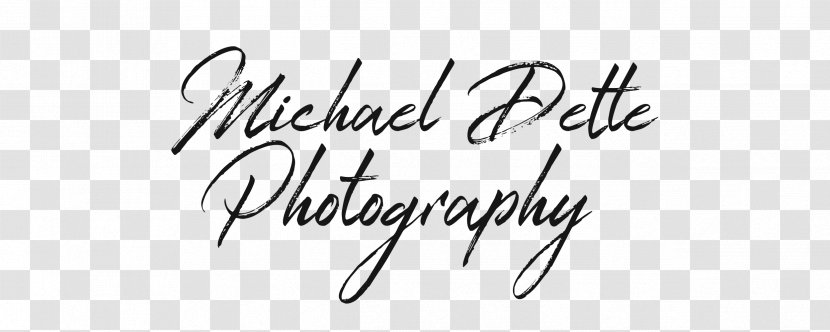 Logo Calligraphy Handwriting Brand Font - Black And White - Line Transparent PNG