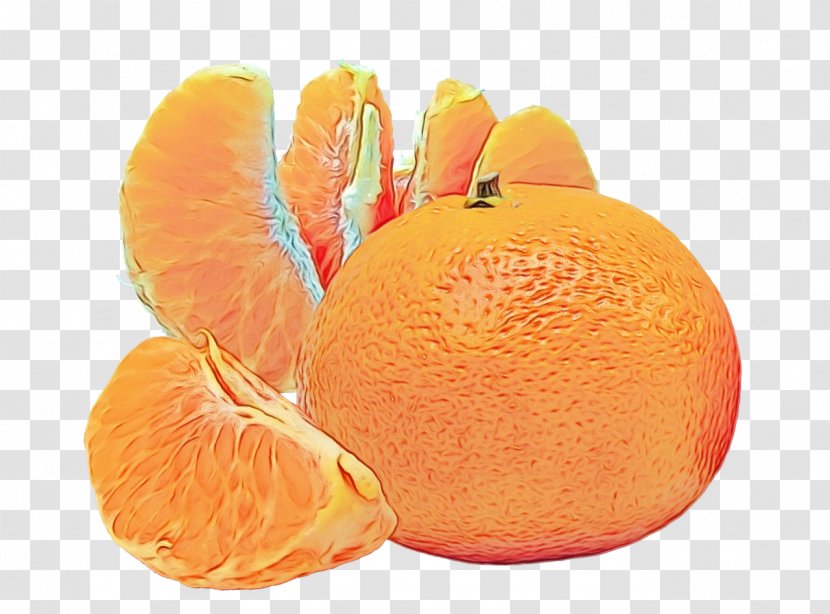 Orange - Tangelo - Valencia Transparent PNG