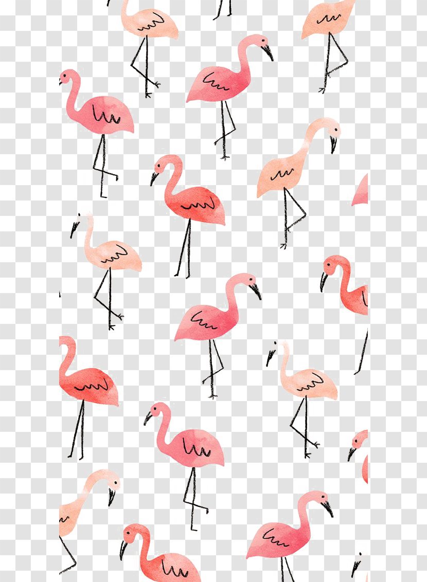 IPhone 4S 8 5s 5c Wallpaper - Beak - Flamingos Transparent PNG