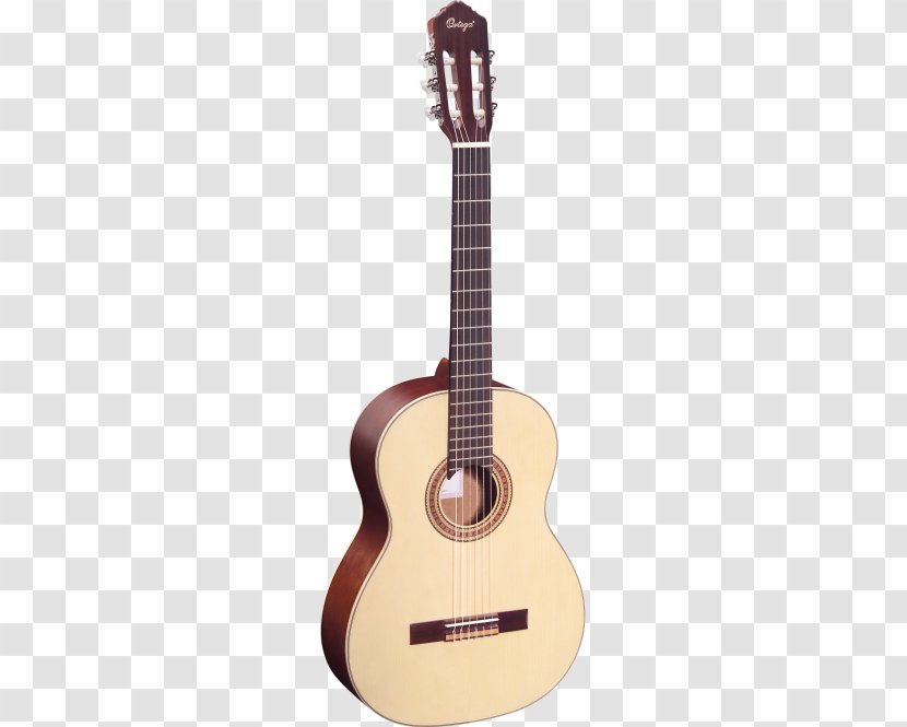 Steel-string Acoustic Guitar Acoustic-electric Musical Instruments - Cartoon Transparent PNG