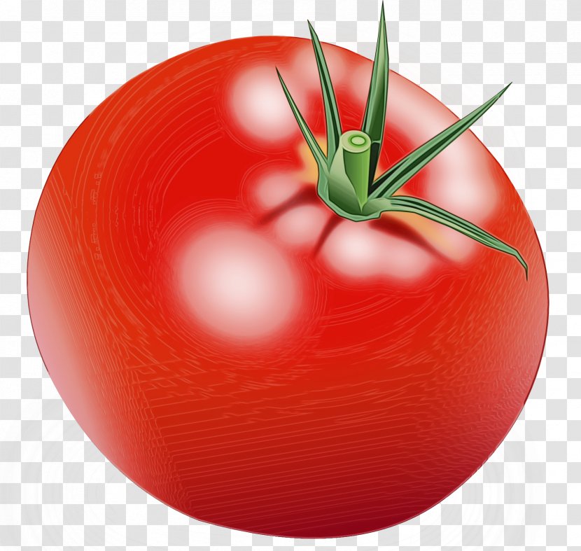 Tomato - Vegetable - Nightshade Family Food Transparent PNG