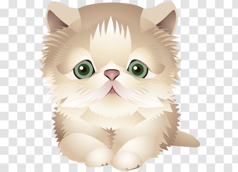 Whiskers Kitten Domestic Short-haired Cat Persian Exotic Shorthair - Cuteness Transparent PNG