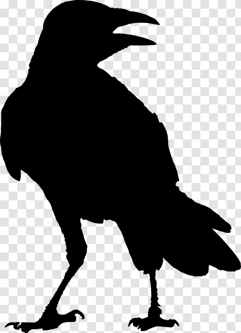 The Raven G Whitcoe Designs Crow Odin Transparent PNG