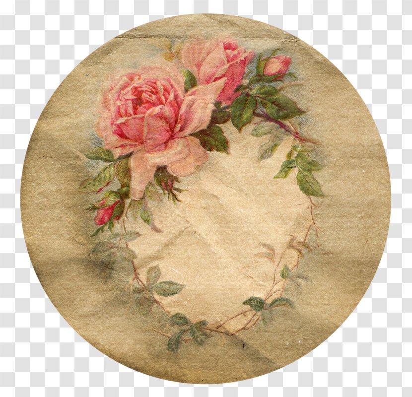 Garden Roses Paper Clip Art - Rose Transparent PNG