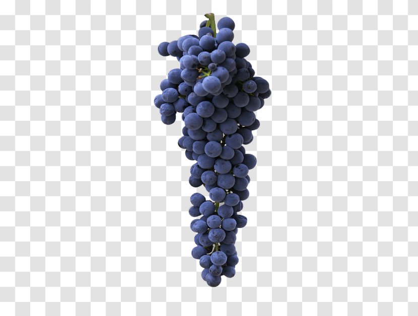 Cabernet Franc White Wine Sauvignon Shiraz Blanc - Grape Seed Extract - Shinning Transparent PNG