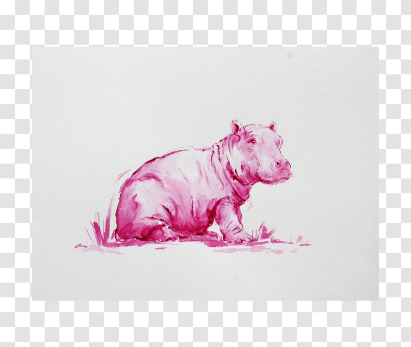 Canidae Pig Dog Pink M Drawing - Carnivoran Transparent PNG