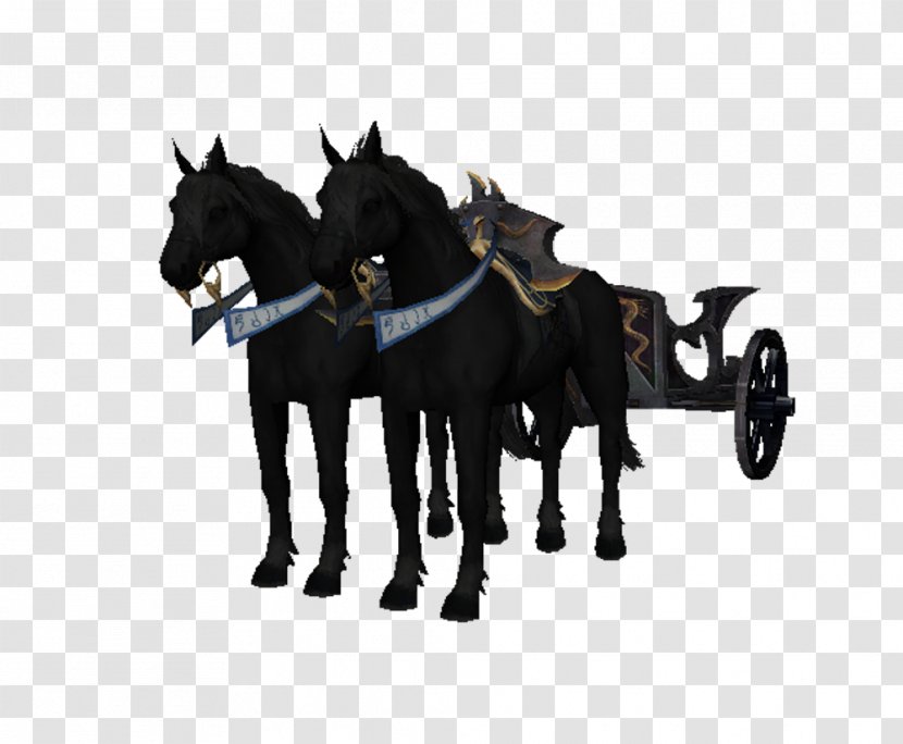 Chariot Horse Wagon Warhammer Fantasy Battle - Harness - War Transparent PNG