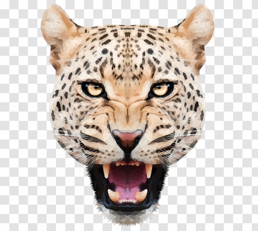 Snow Leopard - Terrestrial Animal - Cheetah Transparent PNG
