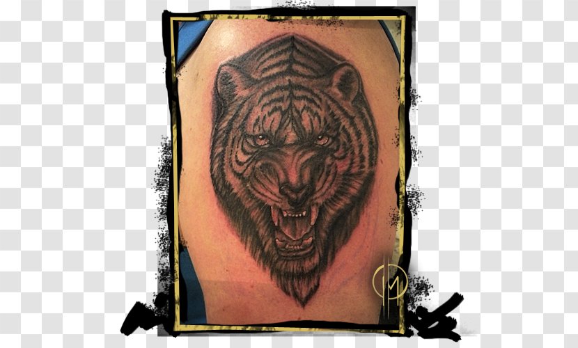 Tiger Tattoo Drawing Clip Art - Cat Like Mammal Transparent PNG