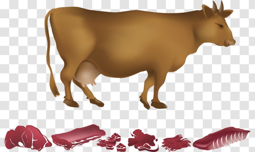 Dairy Cattle Beef - Livestock - A Cow Transparent PNG