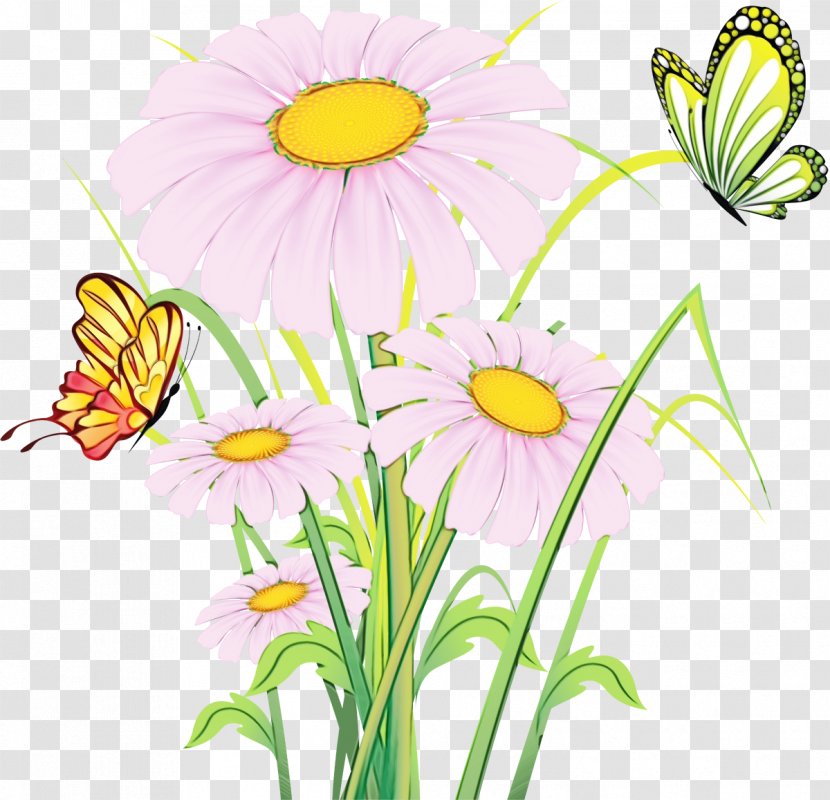 Flowers Background - Floral Design - Cut Oxeye Daisy Transparent PNG