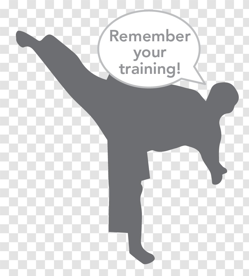Taekwondo Kick Mixed Martial Arts Training - Krav Maga Transparent PNG