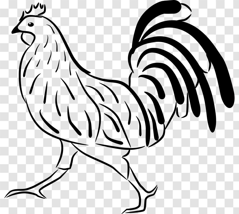 Rhode Island Red Cochin Chicken Brahma Silkie Leghorn - Poultry - Rooster Vector Transparent PNG