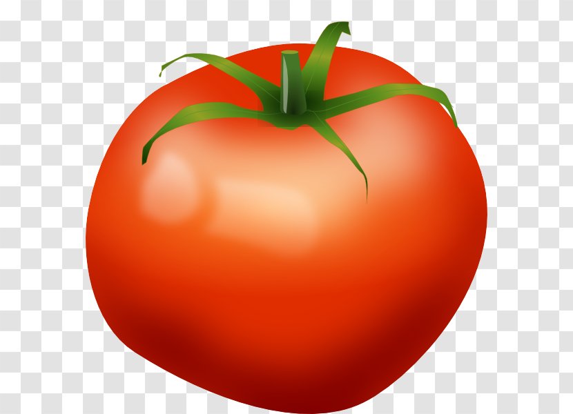 Tomato Vegetable Food Clip Art - Local Transparent PNG