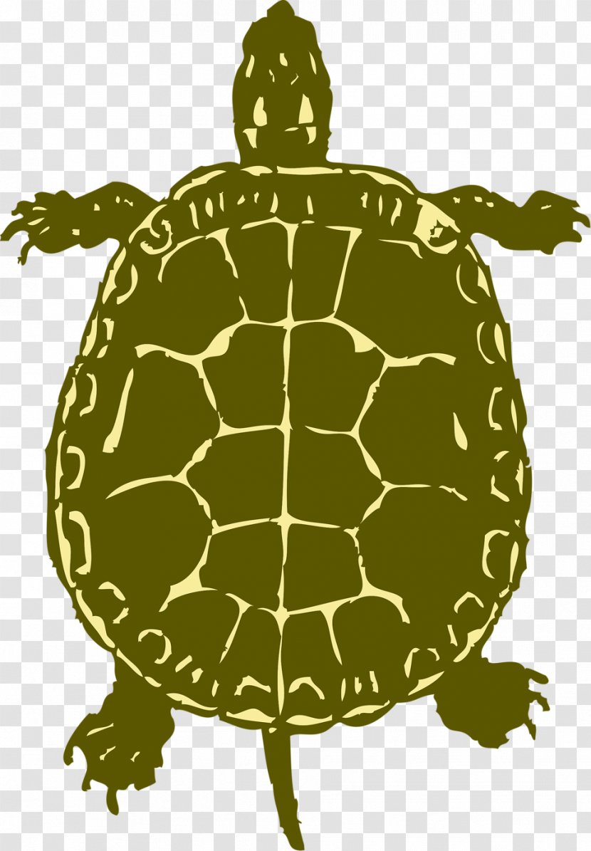 Sea Turtle Silhouette Clip Art - Reptile Transparent PNG